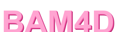 bam4d logo