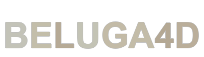 beluga4d logo