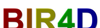bir4d logo