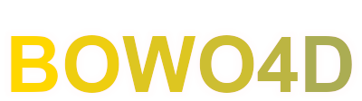bowo4d logo