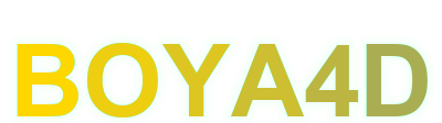 boya4d logo