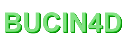 bucin4d