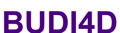 budi4d