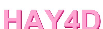 hay4d logo