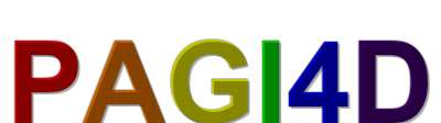 pagi4d logo
