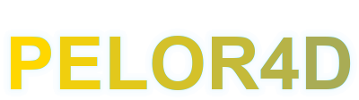 pelor4d