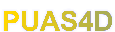 puas4d logo