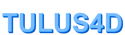 tulus4d logo