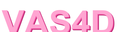 vas4d logo