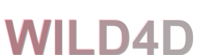 wild4d