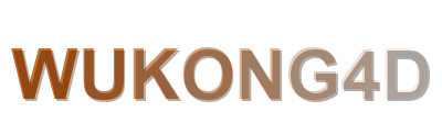wukong4d